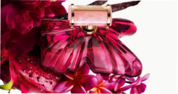 Carolina Herrera La Bomba fragrance